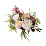 Spring breath flower